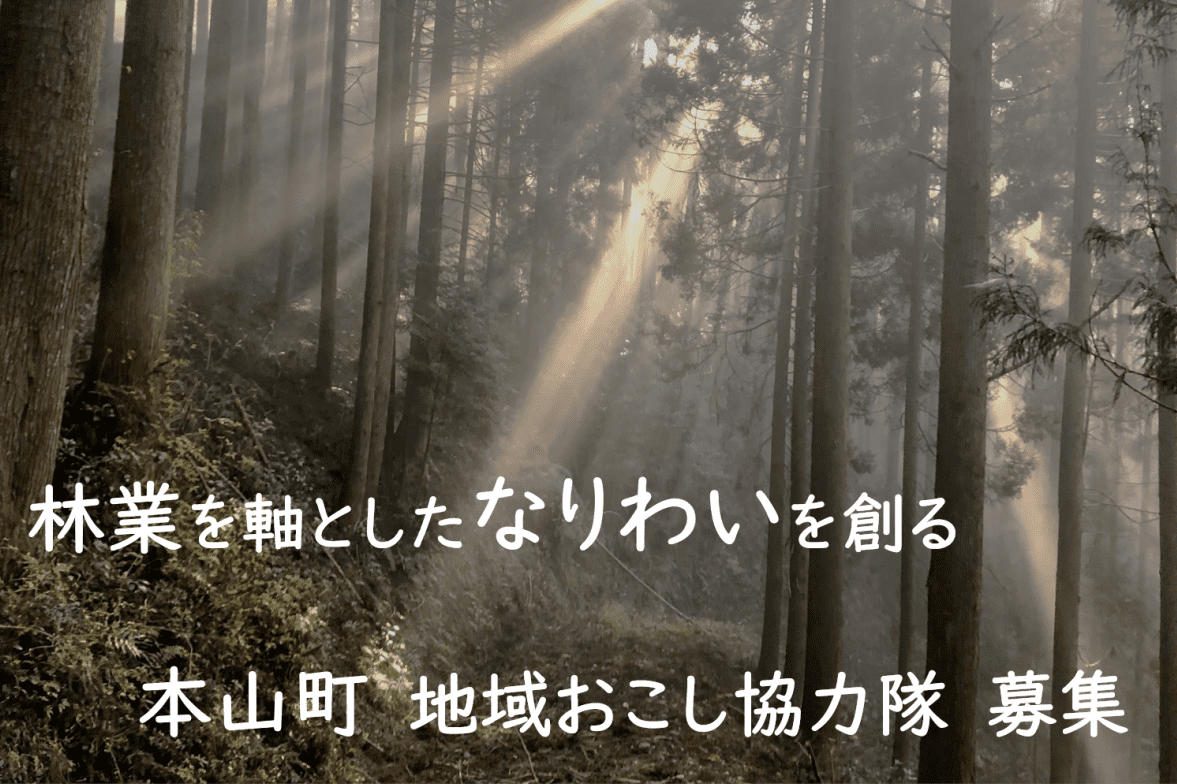 豊かな森を守り、活かす。多様な森づくりに携わる地域おこし協力隊を募集！